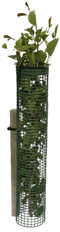 rigid mesh tubes for trees let air and sunlight in – keep critters